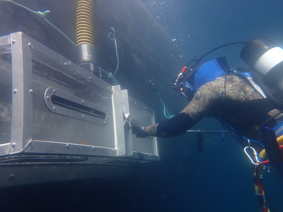 Diver Cleaning Example 2