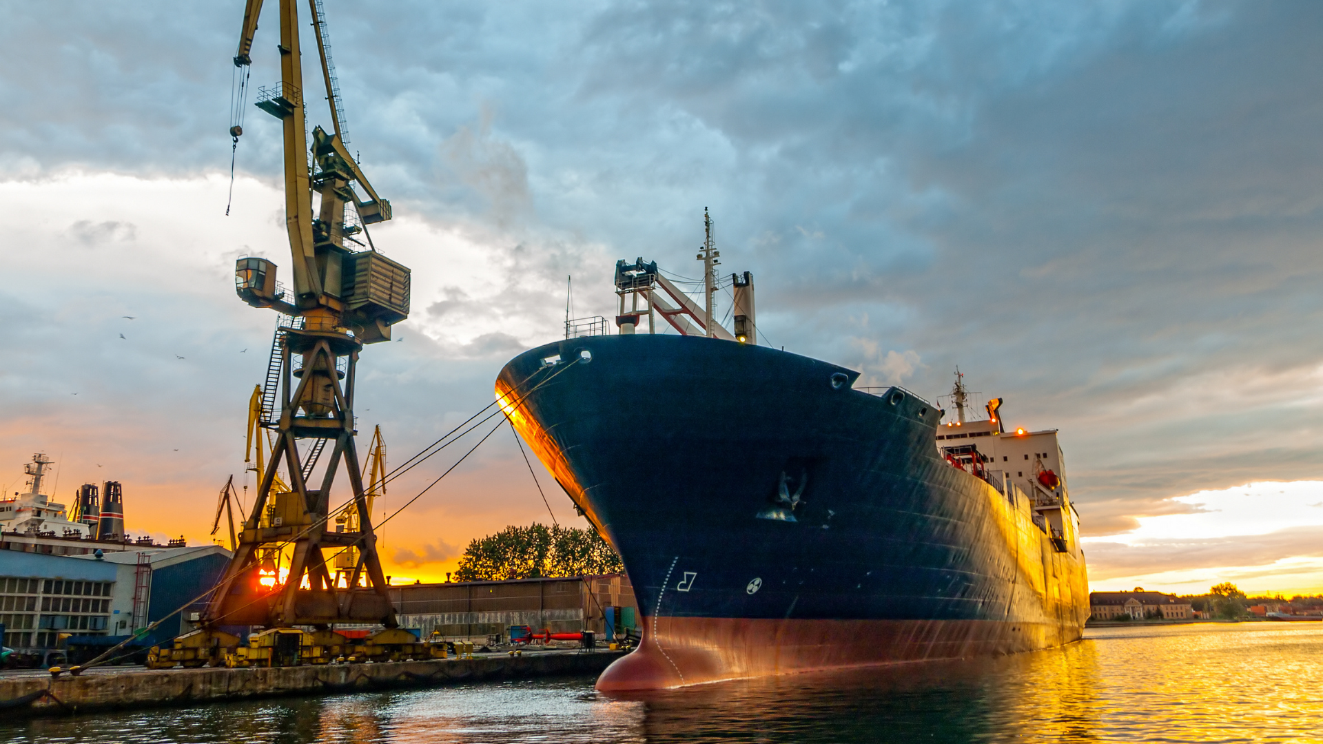 Biofouling with blue mussels and other marine growths on submerged structure